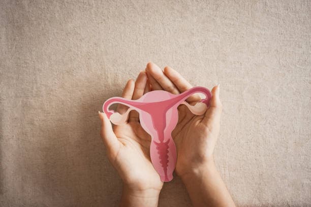 Endometriosis Care