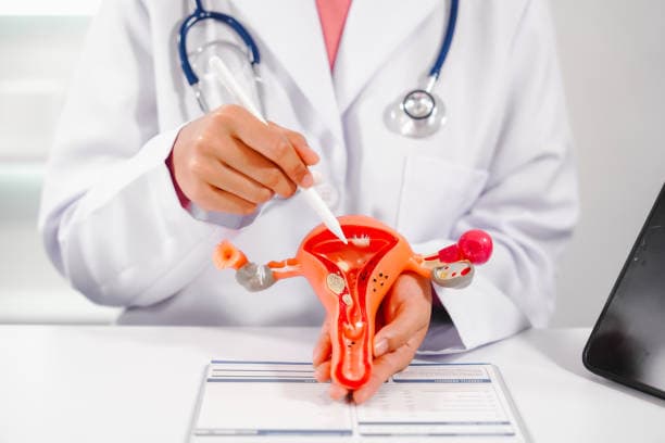 Fibroids Care